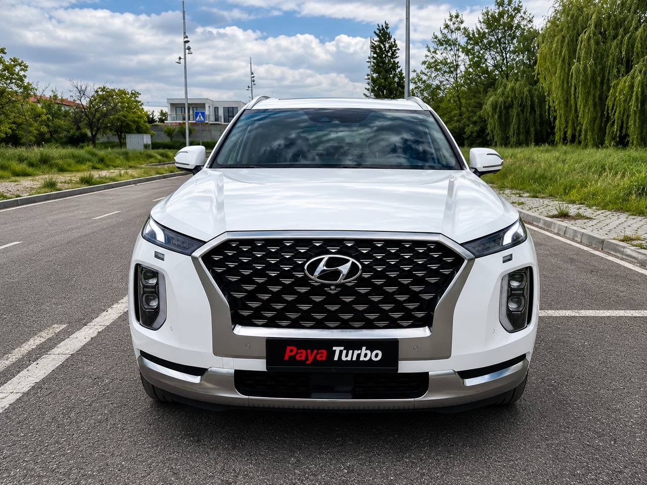 هیوندای palisaid